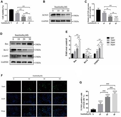 Comprehensive analysis of hypoxia-related genes for prognosis value, immune status, and therapy in osteosarcoma patients